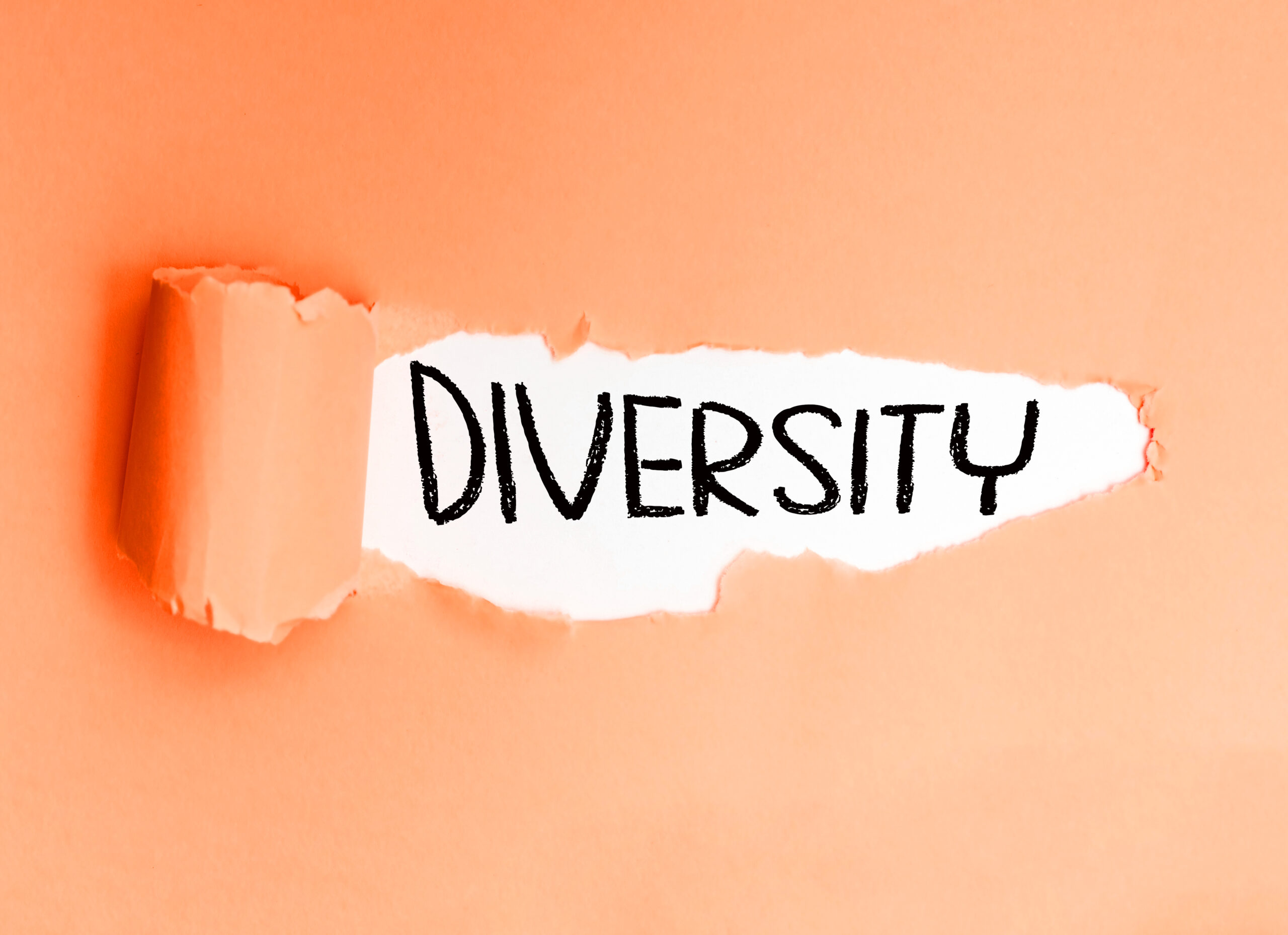 Why Is Diversity and Inclusion Important?